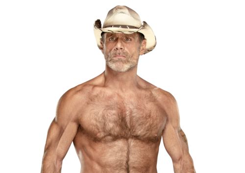 Shawn_Michaels_Profile