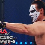 TNA Lockdown 2009 – Sting vs. Mick Foley for the World Heavyweight Championship